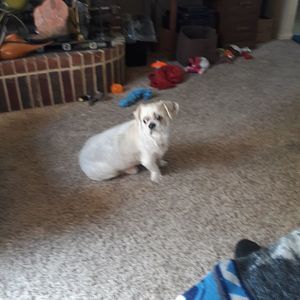 Meet your Posher, Sheila